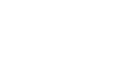 FedeBags